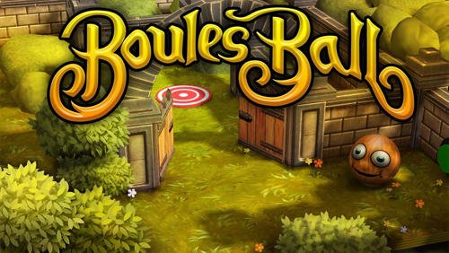 download Boules ball apk
